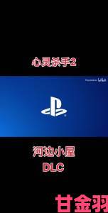 热点|《心灵杀手2》更新：PS5 PRO可关闭PSSR选项