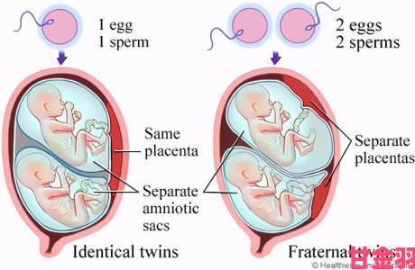 生生不息生子系统双产背后的科学原理究竟是什么