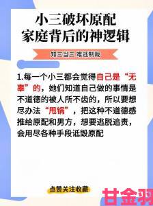 当小三上瘾啦小三专业户频发背后暗藏哪些法律与道德红线