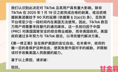 从法律到技术全面剖析tiktok为啥不让中国人玩并附破解指南