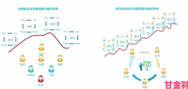 每日大赛职业选手养成计划从零基础到精通完整路线