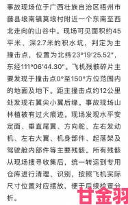 中国体育生gary飞机事件持续发酵相关部门介入调查飞行资质