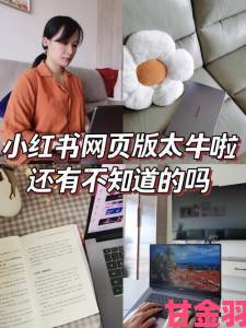 小红书网页版流量密码破解网页端内容发布黄金时段全攻略