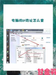 如何通过8x8x8x域名解析ip地址查询1快速定位服务器