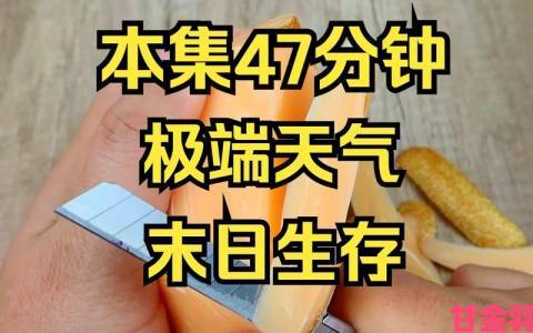 末日生存：天气种类及其影响解析