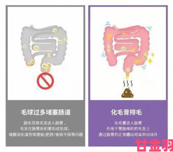 为什么软的时候好小遭吐槽？专家解答常见误区与应对措施