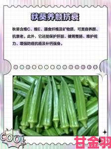 未满十八岁女生必读秋葵的三大功效与四个食用禁忌