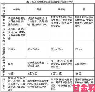 久产九人力资源有限公司服务评价曝光企业合作背后的隐藏条款分析