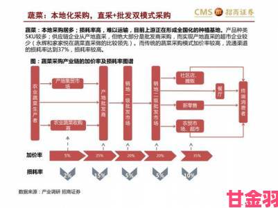 猎户1V3四兄弟如何在激烈竞争中突围团队策略全解析