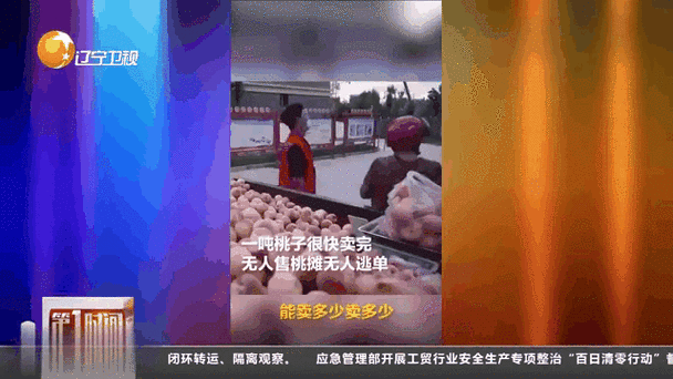 蜜桃产品一二三产区产业链暗访网友热议二区为何供不应求