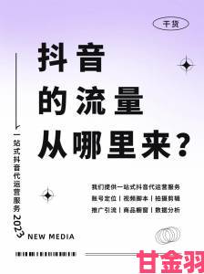 如何在9.1短视频网页入口网站推广中快速提升流量