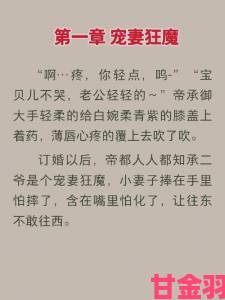 新探|深度调查双胞胎男主共享一女主宠文市场背后的文学伦理困局