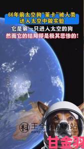 《星际公民》太空狗斗模块因严重Bug推迟上线