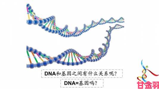 关键|允许我的基因影响你的基因吗”的含义与出处