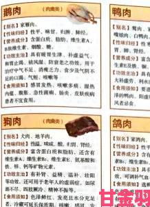 军旅肉质1v2的营养价值小说实战指南如何平衡肉类摄取与战斗情节