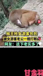 观察|二人生猴子全程不盖被子背后真相曝光网友直呼活久见