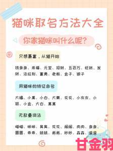 追踪|猫咪成人最新地域网名怎么取成热点各地网民创意案例大盘点