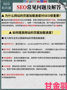 体验|91网页版全功能解析一篇攻略解决所有新手高频疑问