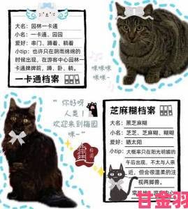 猫旅馆物语：猫猫各等级所需经验全览