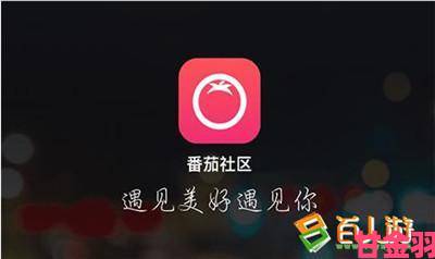 看污片十大app举报电话和网络平台双通道举报实测报告