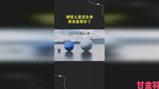 7x7x7x任意噪160环境投诉真相揭秘举报成功率达90%的核心技巧