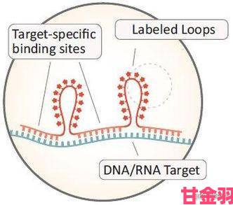 前瞻|rna与dna杂交过程成果归属争议举报材料揭示署名权争夺背后黑幕