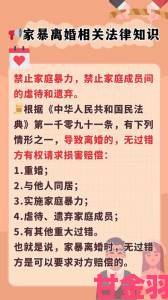 中国亲子亂子倫XXXX60岁特辑：从法律到心理的家庭矛盾处理全链路指南