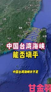 台湾颜色程度10颗星为何引发海内外舆论两极分化