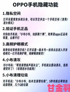 速报|资深用户揭秘91在线精品一区二区隐藏功能使用技巧