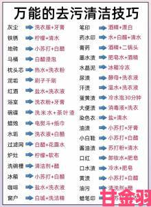 污秽清洁全攻略教你如何彻底清除家中顽固污渍