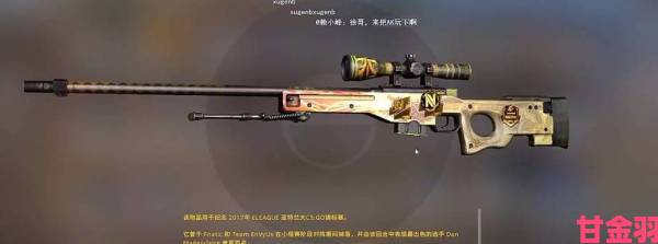 日本CSGO大姐姐AWP直播开挂实锤证据已被提交官方核查