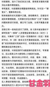 丰年经继拇背后黑幕曝光村民实名举报集体贪腐细节