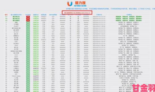 磁力搜索引擎磁力天堂高效使用手册告别无效链接困扰