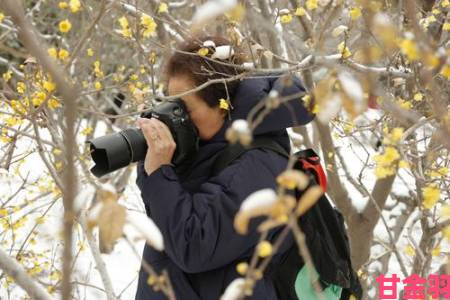 《桃花源记2》微笑天使踏雪”喜迎新春来袭