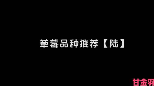 草莓视频黄色功能使用全攻略新手必看避免风险指南