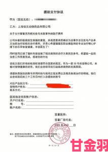 解锁非匿名指令支援协议的实用指南