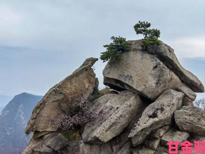 新探|两峰夹小溪地湿又无泥诗意外走红揭开中国最神秘地质奇观面纱