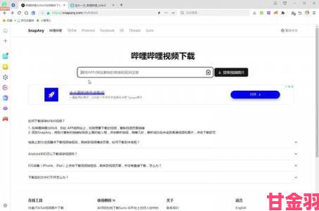 bobo浏览器网站入口在哪里引发技术圈热议官方回应终于出炉