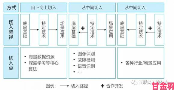 泽井芽衣职业生涯转折点分析成功背后的关键决策