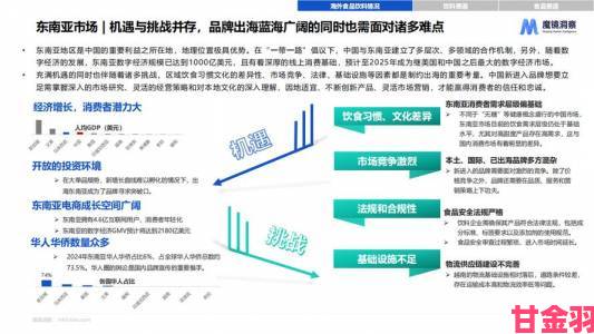 欧美一区二区三区新兴产业竞争白热化中国企业如何应对