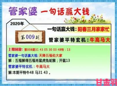 2024年正版管家婆最新版本能否彻底取代传统财务管理系统