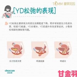 新动|刚进去时很紧后来就松了常见问题与科学应对方案详解