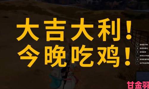 哔哩哔哩《绝地求生》战队招募：年满16且吃鸡率达15%+