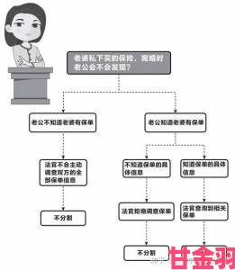 深度解析妻子8举报事件中的证据收集与法律维权路径