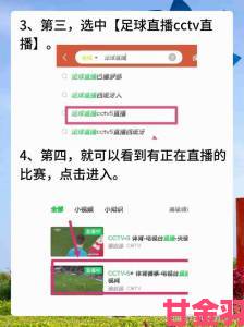 免费看网站在线观看人数在哪直播详细攻略教你轻松找到实时数据入口