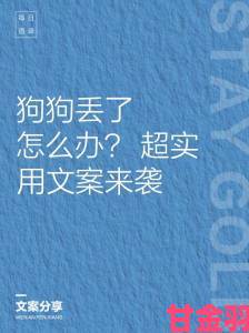 老公不在家狗狗的东西能要吗过来人告诉你哪些该留哪些该扔