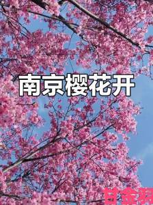 鸡鸣寺樱花被指虚假宣传花期市民举报景区虚假广告行为