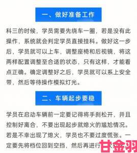 深入解析扶老二轻量版线路检测1的使用技巧与实用攻略，助你轻松掌握检测要领