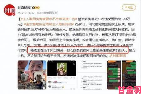 刚入睡感觉巨大的东西在动狗事件发酵百人联署要求彻查真相