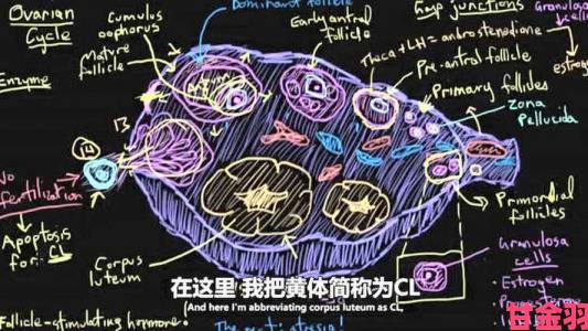 举报者怒揭傻大壮你真厉害桃花运内幕套路竟藏惊人利益链